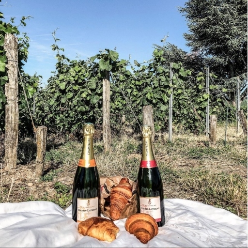 Instagram Champagne Gioria Latizeau